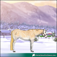 Horse Color:Void Painted Palomino Ice Onyx