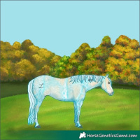 Horse Color:Thunderstruck Silver Buckskin Ice 