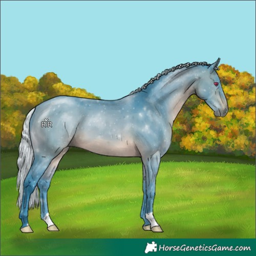 Horse Color:Watercolor Silver Brown Chinchilla 