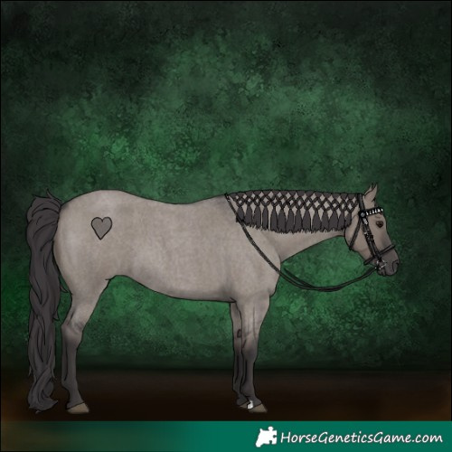 Horse Color:Smoky Grullo Roan 