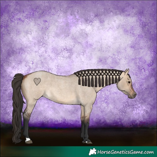 Horse Color:Bay Roan Dun