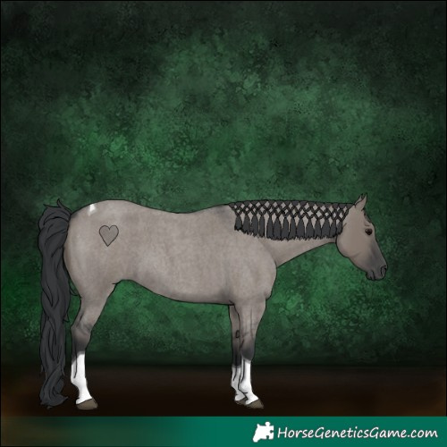 Horse Color:Grullo Roan Tobiano