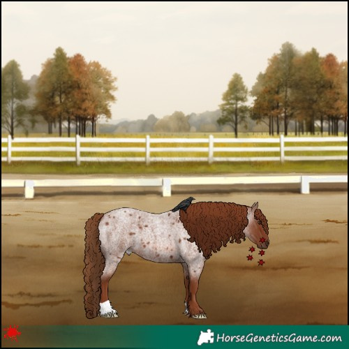 Horse Color:Red Roan