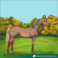 Horse Color:Red Dun 