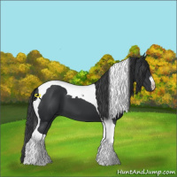 Horse Color:Black Tobiano 