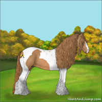Horse Color:Chestnut Tobiano