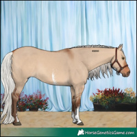 Horse Color:Silver Bay Dun Sabino Rabicano 