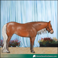 Horse Color:Silver Bay Rabicano