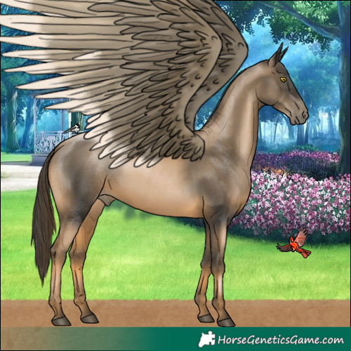 Horse Color:Chestnut Pearl 