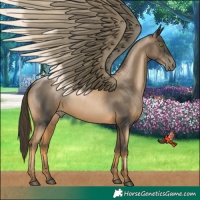 Horse Color:Chestnut Pearl