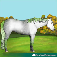 Horse Color:ERROR: UNKNOWN ANOMALY