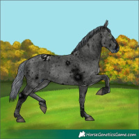 Horse Color:ERROR: UNKNOWN ANOMALY