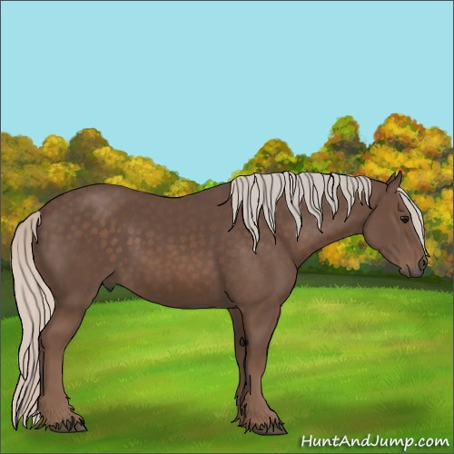 Horse Color:Silver Black 