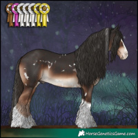 Horse Color:White Spotted Liver Chestnut Splash Tobiano 