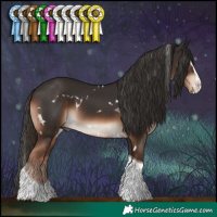 Horse Color:White Spotted Liver Chestnut Splash Tobiano