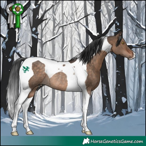 Horse Color:Bay Dun Tobiano Rabicano 