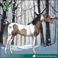 Horse Color:Bay Dun Tobiano Rabicano