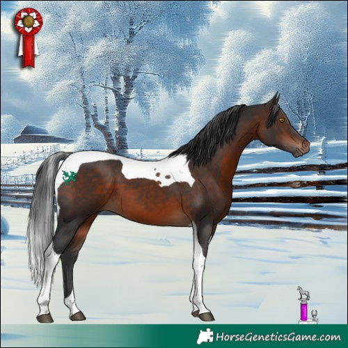 Horse Color:Bay Tobiano 
