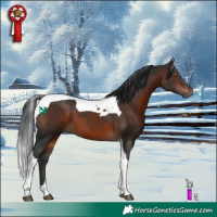 Horse Color:Bay Tobiano 