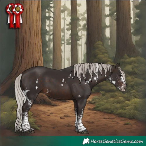 Horse Color:White Spotted Silver Brown