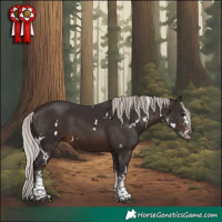 Horse Color:White Spotted Silver Brown