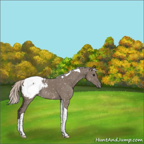 Horse Color:Silver Grullo Tobiano Snowcap Brindle 