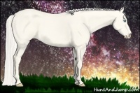 Horse Color:Cremello Dun 