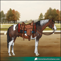 Horse Color:Brown Sabino Tobiano