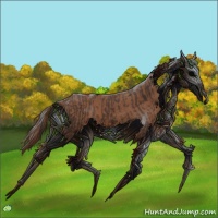 Horse Color:Liver Chestnut  and Chestnut 