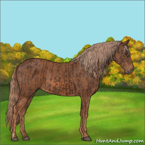 Horse Color:Liver Chestnut  and Chestnut 