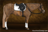 Horse Color:Liver Chestnut  and Chocolate Palomino 