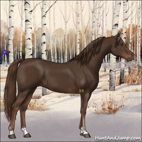 Horse Color:Liver Chestnut  and Liver Chestnut 