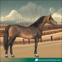 Horse Color:Buckskin 