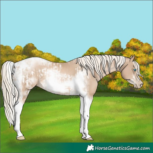 Horse Color:Chocolate Palomino Pearl Tobiano Frame and Chocolate Palomino Pearl Splash Tobiano Frame