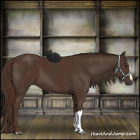 Horse Color:Liver Chestnut  and Liver Chestnut 