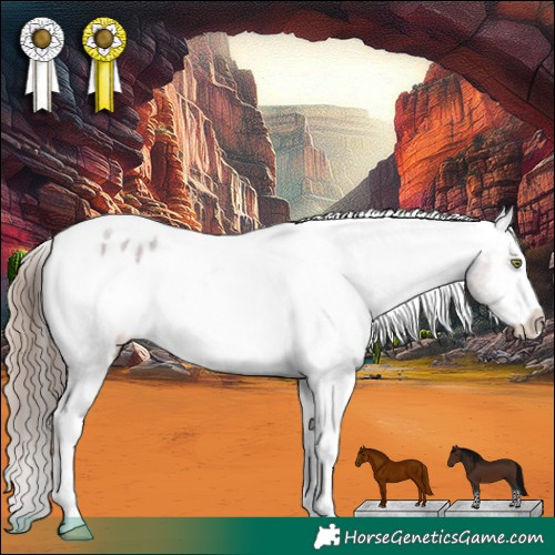 Horse Color:White Spotted Liver Chestnut Splash Frame Varnish 