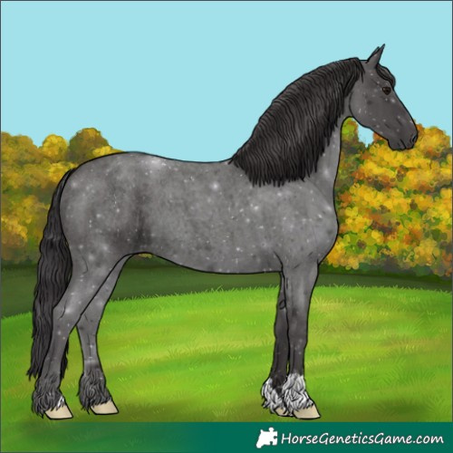 Horse Color:Platinum Smoky Blue Roan