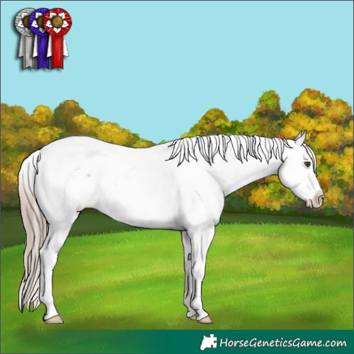 Horse Color:White Spotted Liver Chestnut Splash Tobiano Frame Varnish 