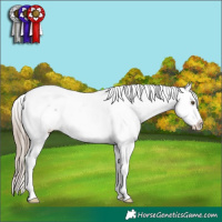 Horse Color:White Spotted Liver Chestnut Splash Tobiano Frame Varnish 