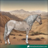 Horse Color:Liver Red Dun Mushroom Tobiano 