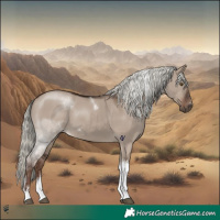 Horse Color:Liver Red Dun Mushroom Tobiano 