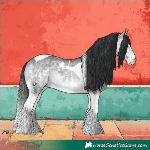 Horse Color:White Spotted Brown Chinchilla Dun Tobiano 