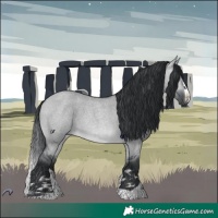 Horse Color:Brown Chinchilla Roan Dun 