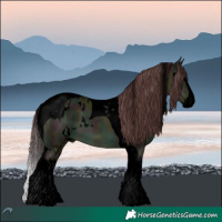 Horse Color:Void White Spotted Midnight Chocolate Brown Chinchilla Dun Splash Tobiano 