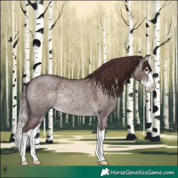 Horse Color:Platinum Chocolate Brown Roan Dun Splash 