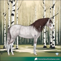 Horse Color:Platinum Chocolate Brown Roan Dun Splash 