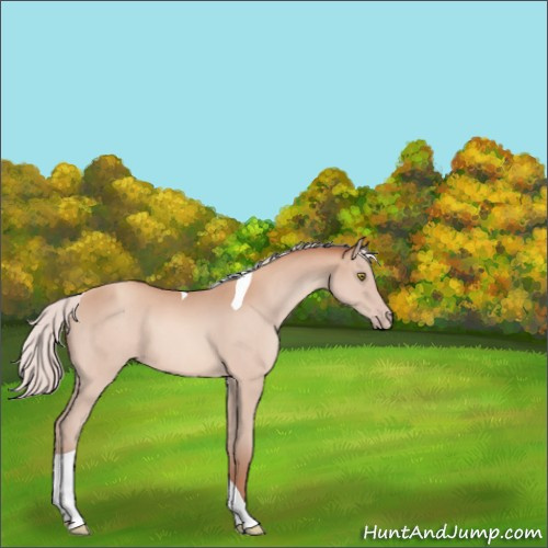 Horse Color:Silver Sable Champagne Tobiano 