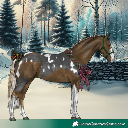 Horse Color:White Spotted Liver Chestnut Mushroom Sabino Rabicano and Chocolate Palomino Mushroom Sabino Tobiano Rabicano