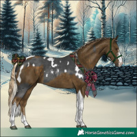 Horse Color:White Spotted Liver Chestnut Mushroom Sabino Rabicano and Chocolate Palomino Mushroom Sabino Tobiano Rabicano