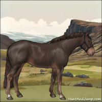 Horse Color:Liver Chestnut  and Liver Chestnut 